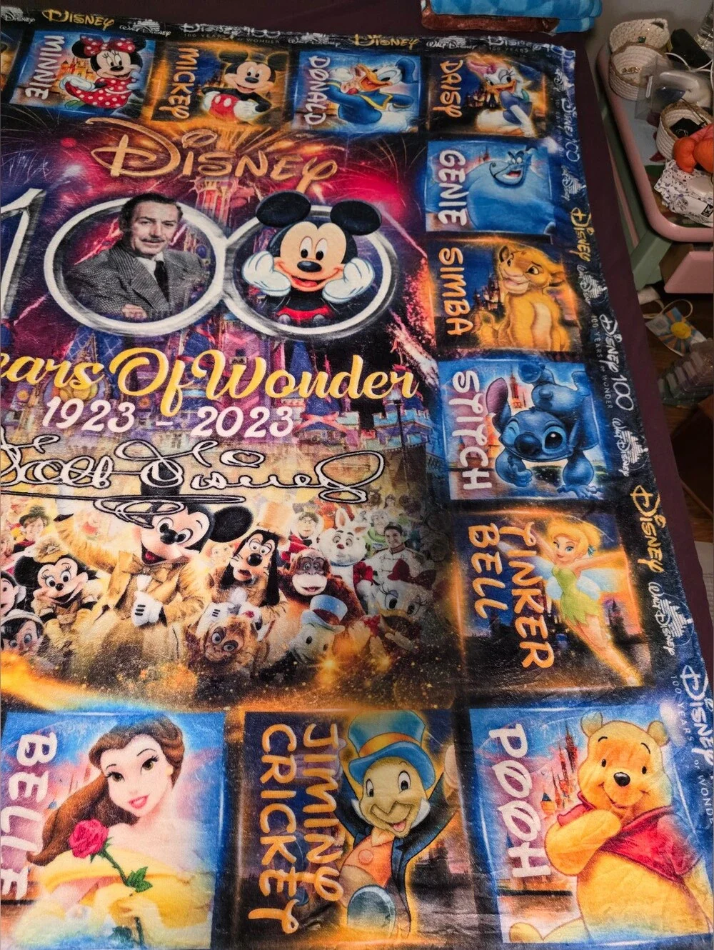 Disney 100 Years of Wonder Multicolor Throw Blanket